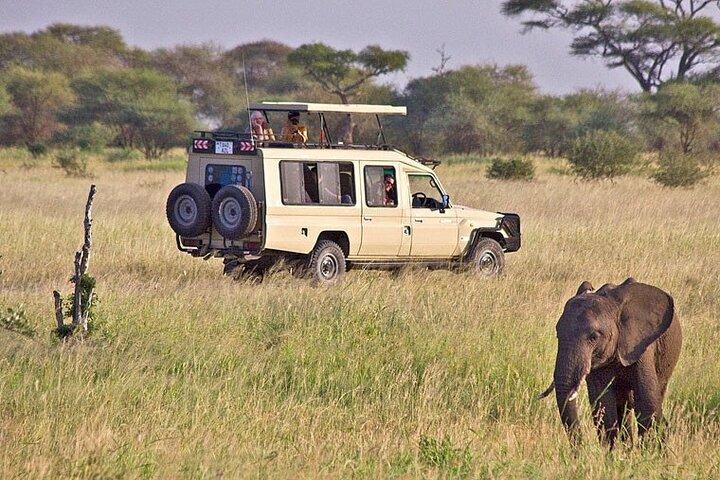 5-Day Private Serengeti Tour with Lake Manyara Adventure