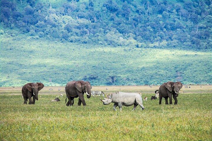 5-Day Private Serengeti Tour with Lake Manyara Adventure