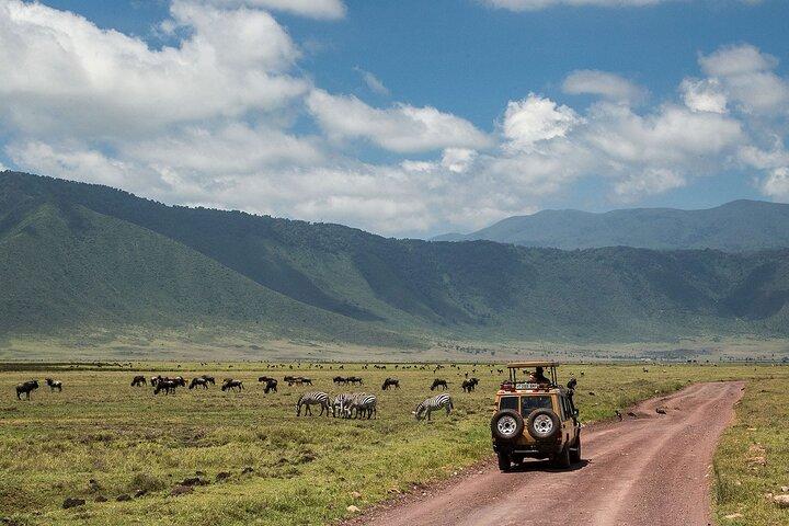5-Day Private Serengeti Tour with Lake Manyara Adventure