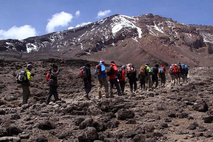 7-Day Mt Kilimanjaro Marangu Route Hut Accommodation