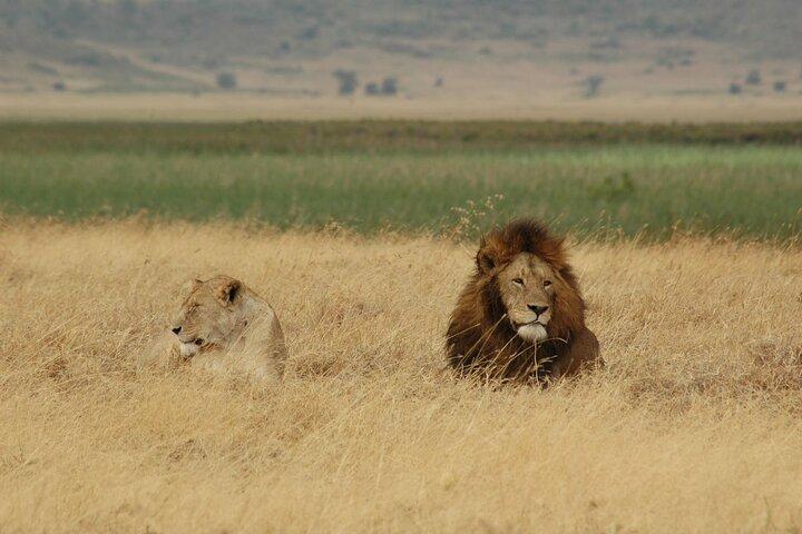5-Day Tarangire, Serengeti and Ngorongoro Private Tour