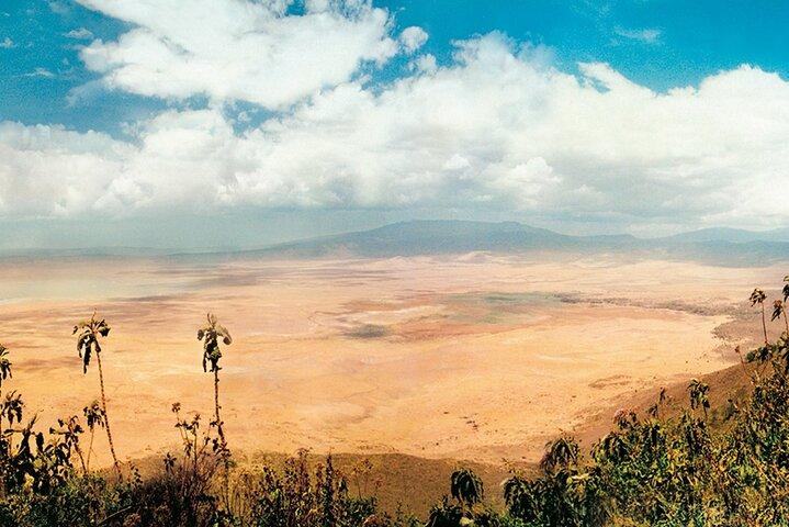 5-Day Tarangire, Serengeti and Ngorongoro Private Tour