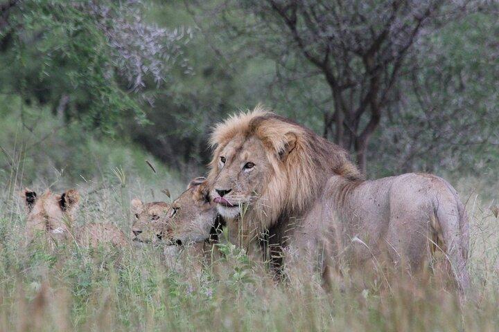 6-Day Voice of Nature Safari