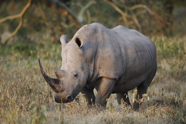 2-Day Zanzibar to Ngorongoro Experience of a Life Time