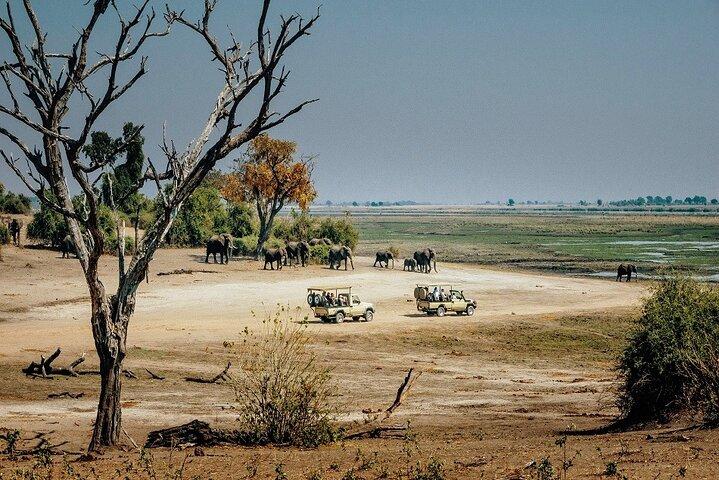 4 Day Mid-range Safari Serengeti ,Ngorongoro and Tarangire