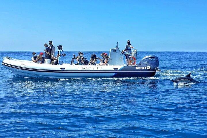 Benagil Caves Visit with Dolphins Watching from Albufeira