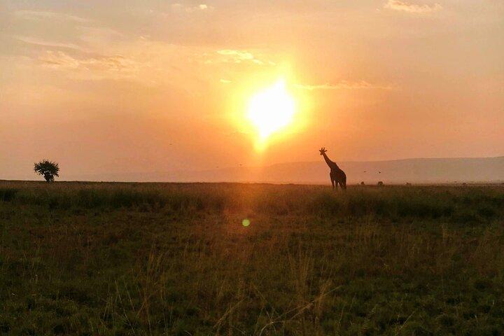 Cocktails over a sundowner