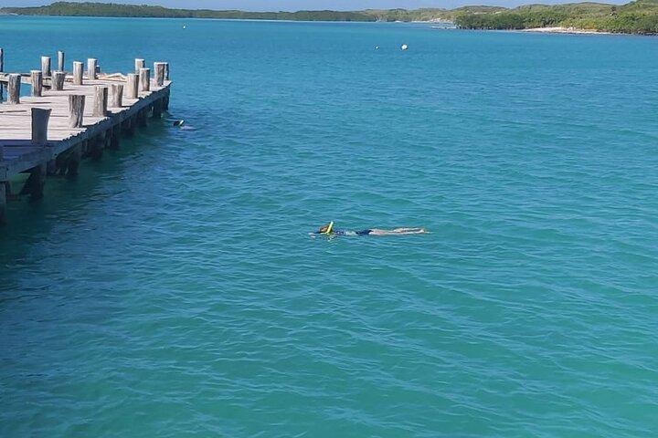 Full Day Tour to Isla Contoy and Isla Mujeres from Cancun