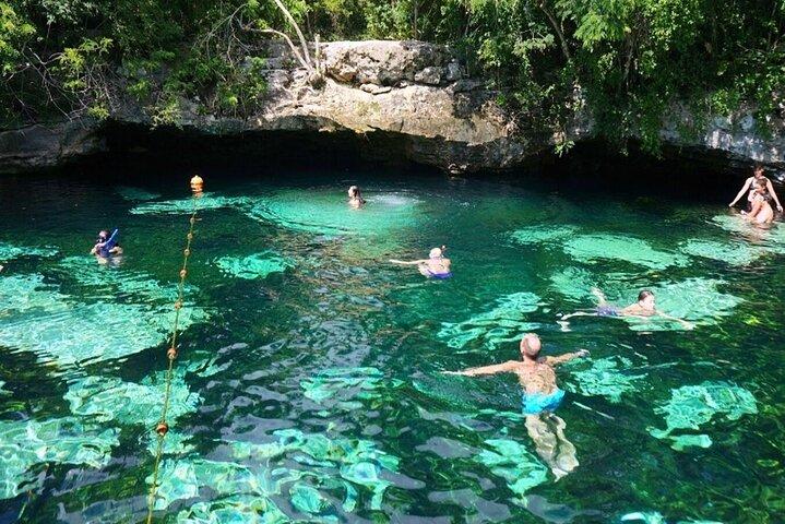 Private Turtle encounter + Cenote Adventure! Express Tour