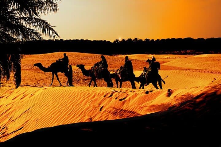 2-Day White Desert & Bahariya Oasis Camping Tour from Cairo