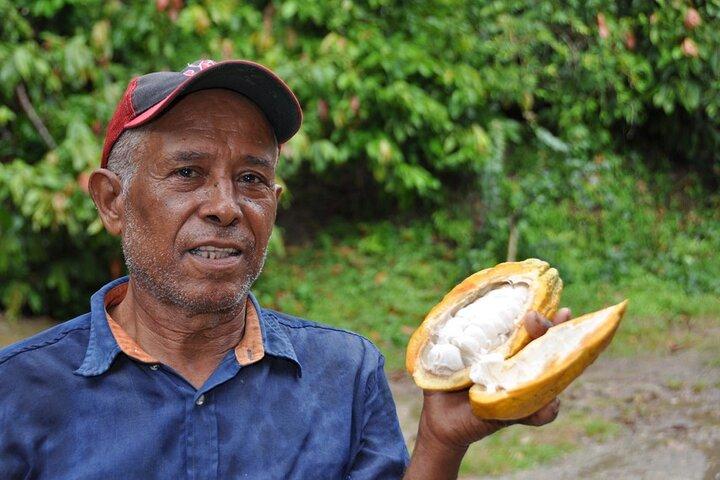 Cocoa & Artisan Chocolate Route with an Historical Tour in Puerto Plata City