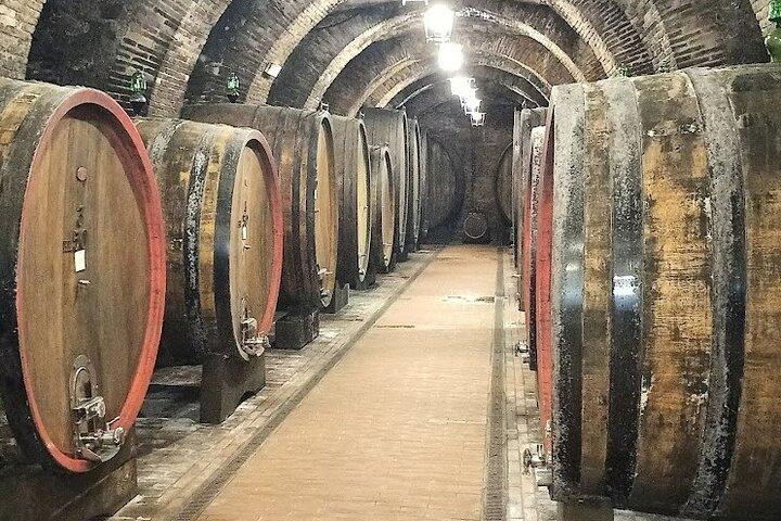 PRIVATE TRANSFER: from Florence to Assisi with stops in Montepulciano & Cortona