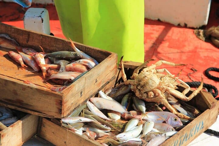 Private Fishing Trip in a Traditional Boat from Athens