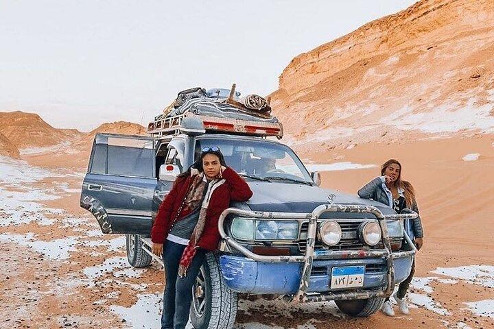 Day tour to White Desert and Bahariya Oasis Tour