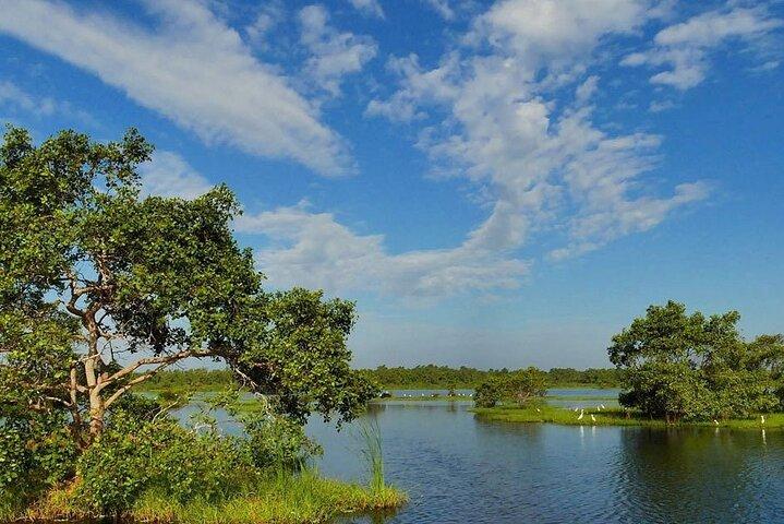 Kalametiya Bird Sanctuary Catamaran Bird Watching Tour