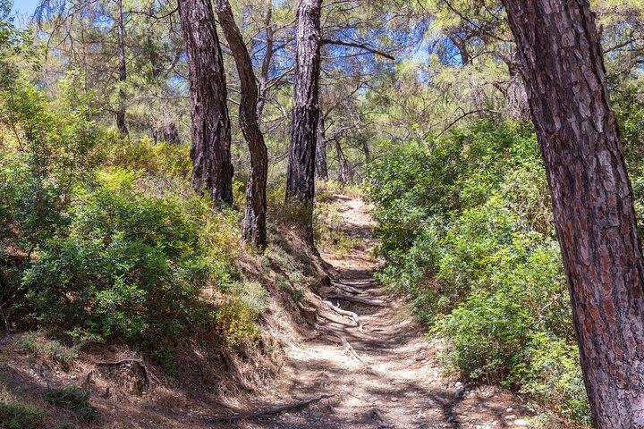 Rhodes: Butterfly Valley & Seven Springs Nature Day Trip