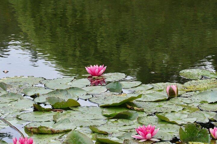 Giverny Half-Day Small-Group Tour from Paris – Max 7 Guests