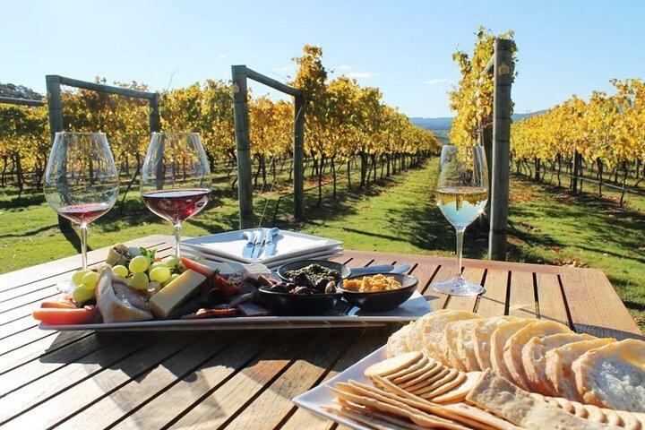 6 Hour Wine Tour and Private Cooking Class