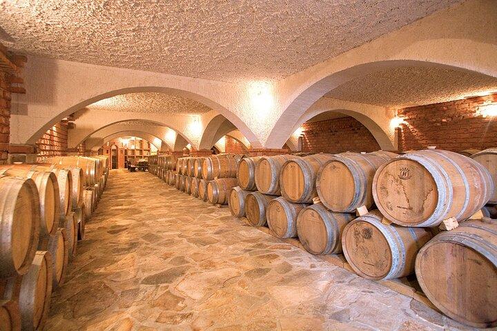 Wine tour peninsula Pelješac