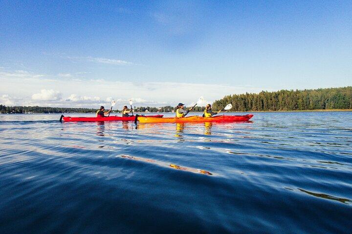 Stockholm: Kayaking tour around Vaxholm Archipelago with Fika