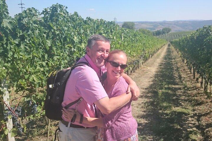 Florence: Siena, San Gimignano Wine Tasting & Lunch Private Tour