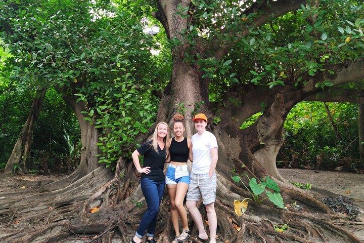 Experience Cancun's Hidden Gems, Mayan museum, cenote & Market 23