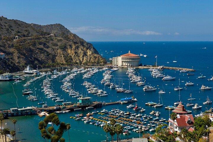 Catalina Island Day Trip from Anaheim Hotels with Discover Avalon Tour