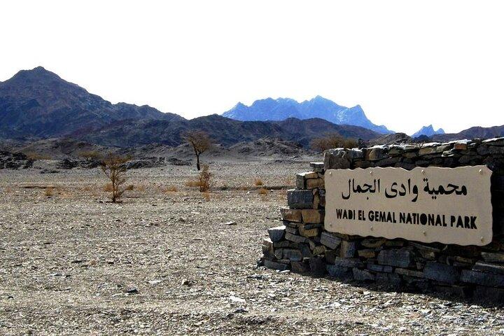 Private trip to wadi el Gemal from Marsa Alam