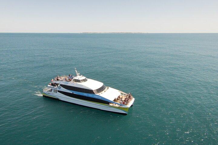 2 Hour Whale-Watching Cruise from Hillarys Boat Harbour