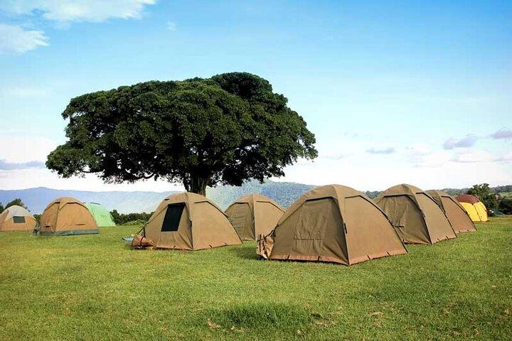 4-Day Budget Tarangire, Serengeti, Ngorongoro Safari Guided Tour