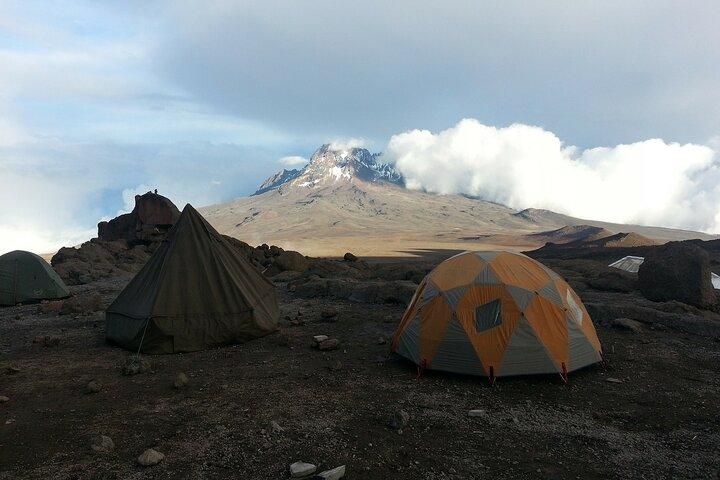 7-Day Kilimanjaro Small-Group Trekking via Machame Route