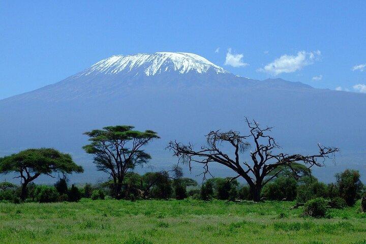 7-Day Kilimanjaro Small-Group Trekking via Machame Route