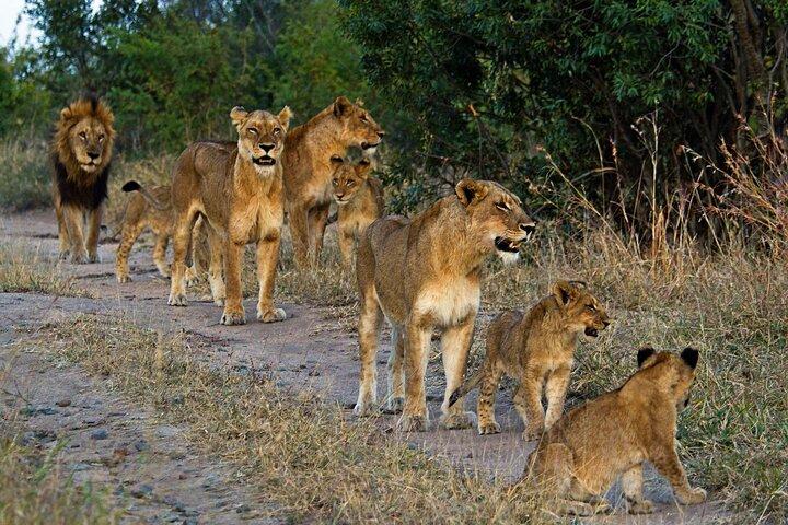 8 Day Safari The Best of Tanzania & Lake Eyasi