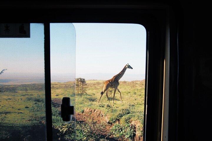 3-Day Tarangire, Lake Manyara and Ngorongoro