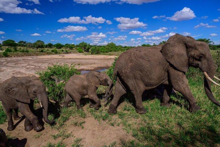 3-Day Tarangire, Lake Manyara and Ngorongoro