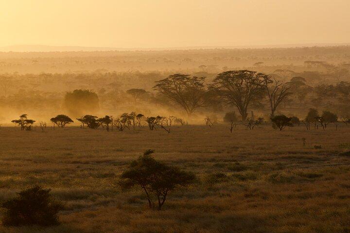 Outstanding day trip to Tarangire National Park