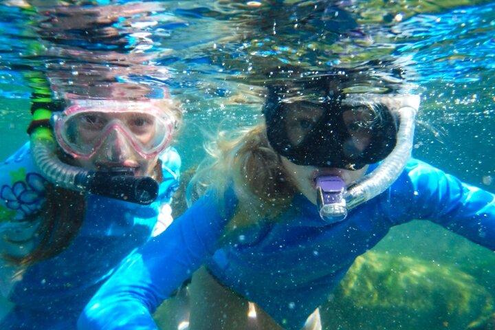 The great snorkeling adventure at the Riviera Maya private tour