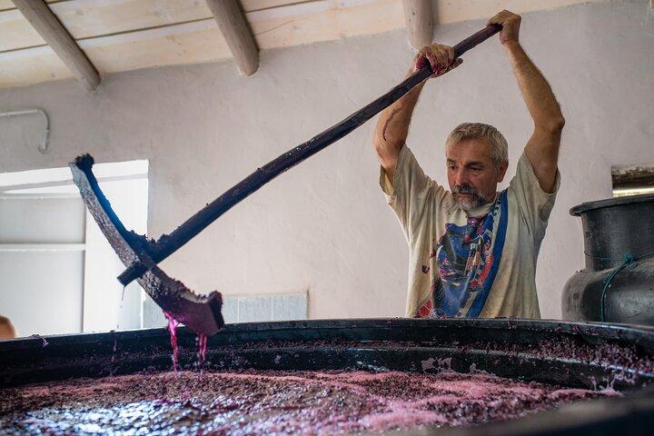 Winery Tour and Tasting in Zakynthos with the Winemaker