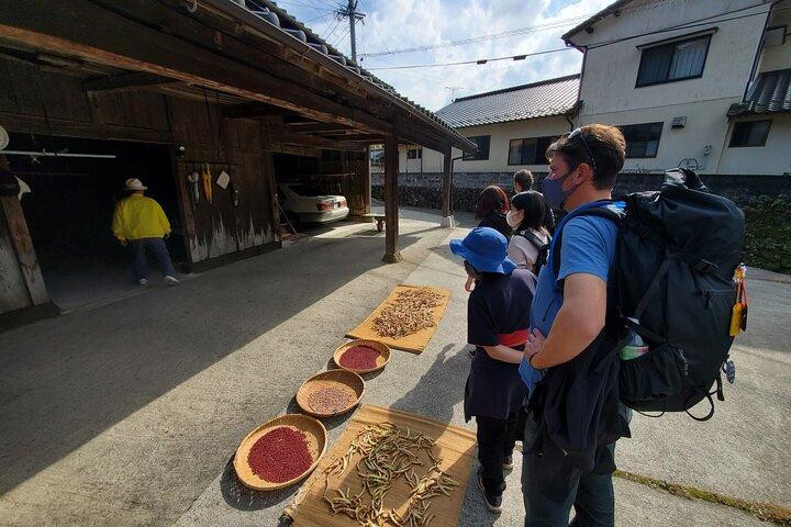 Enjoy a walk, lunch, and tea time at the 2000 years old Teno Farm Village.