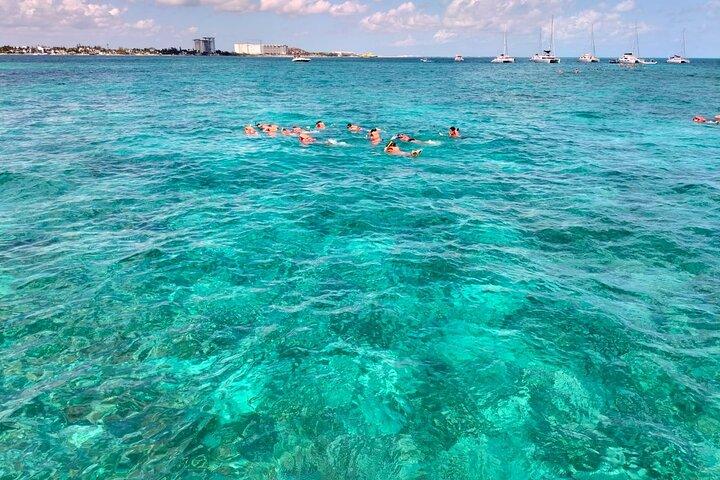 Platinum Catamaran to Isla Mujeres: Snorkel & Open Bar