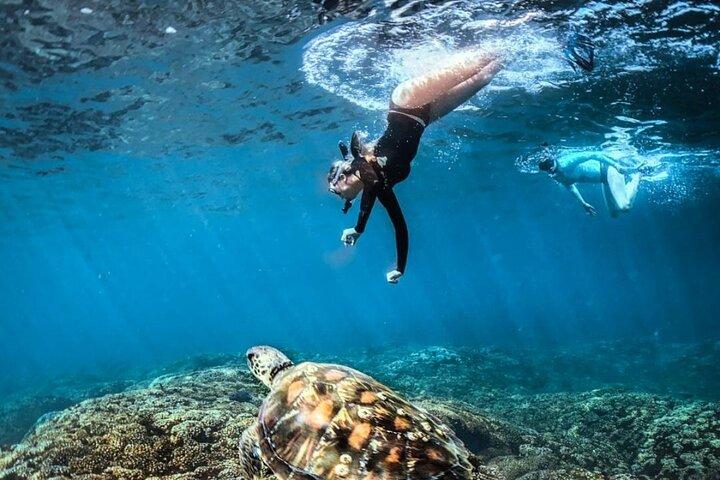 Tour Full Day Guided Huatulco Bays + Pickup + Refreshments + Gift !!