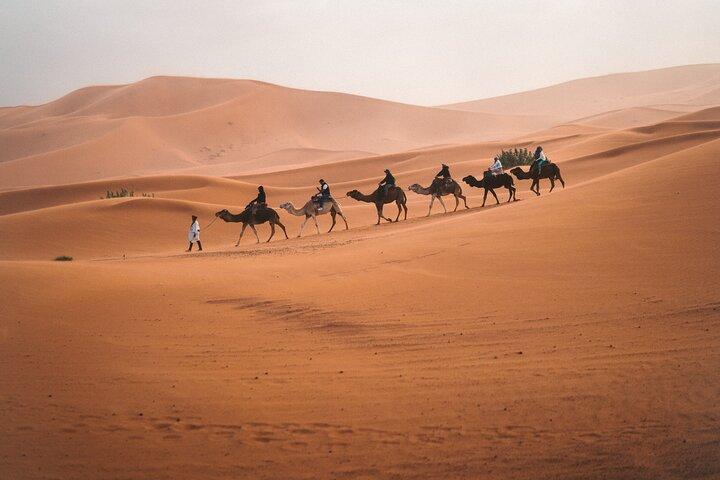 8 Days South Morocco Adventure 5 days Desert Trek