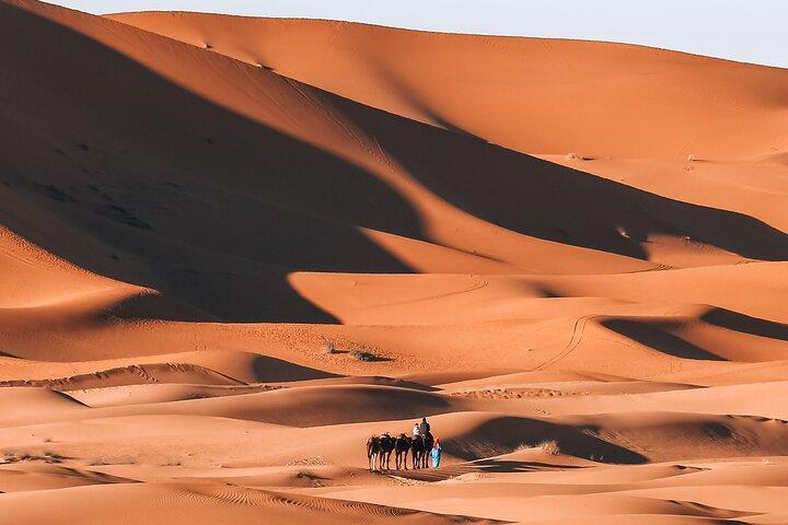 8 Days South Morocco Adventure 5 days Desert Trek