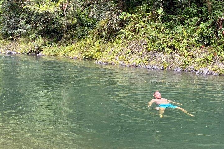 El Yunque Rainforest Guided Day Tour from San Juan