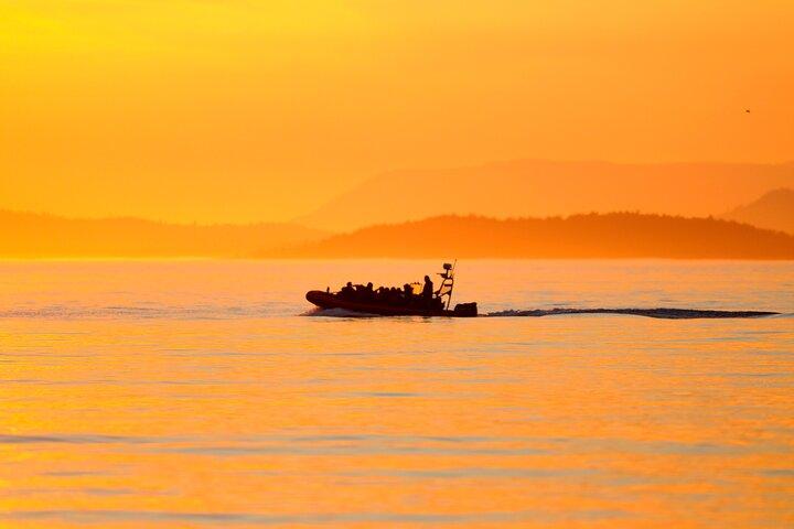 Sunset Whale and Wildlife Adventure in Cowichan Bay
