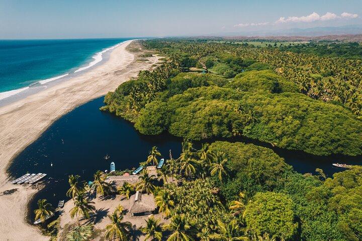 Wildlife Eco Tour on the coast of Oaxaca.