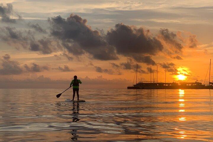 Paddle Board at Sunrise or Sunset in Cancun