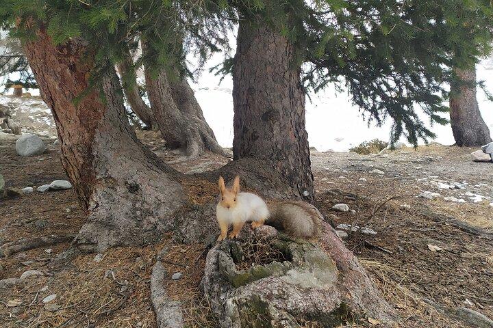Day trip to Ala-Archa National Park