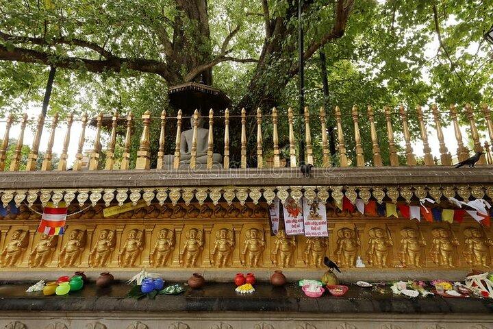 Day Tour of Colombo City