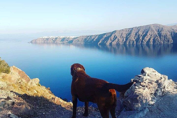 5-Hour Private Custom Santorini Tour